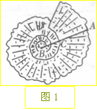 пԴ( www.zk5u.com)רעнһ߽ʦ